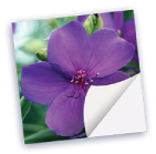 print stickers online